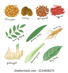 hand drawn culinary spices illustration set