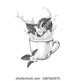 Tazas dibujadas a mano con salpicaduras y rama de la planta de té en caída. Ilustración vectorial de escala de grises