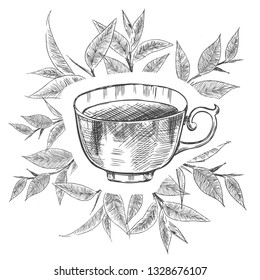 Hand drawn a cup of tea. 