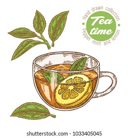 Hand drawn cup of tea. Herbal tea with lemon and mint isolated on white. Vector illustration. Design for packaging.