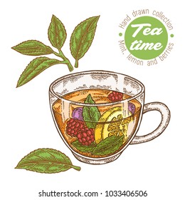 Hand drawn cup of tea. Herbal tea with lemon, mint and raspberry isolated on white. Vector illustration. Design for packaging.