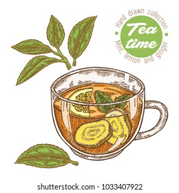 Hand drawn cup of tea. Herbal tea with lemon, mint and ginger isolated on white. Vector illustration. Design for packaging.