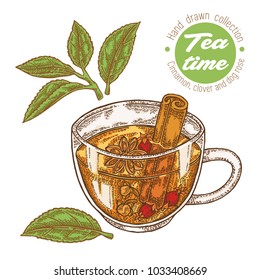 Hand drawn cup of tea. Herbal tea with cinnamon, clover and dog rose isolated on white. Vector illustration. Design for packaging.