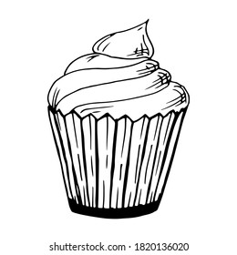 Hand drawn cupcake with buttercream for pastry shop menu. Vector illustration