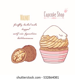 Hand drawn cupcake with doodle buttercream for pastry shop menu. Walnut flavor. Vector illustration