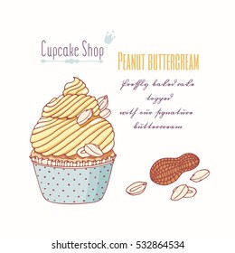 Hand drawn cupcake with doodle buttercream for pastry shop menu. Peanut flavor. Vector illustration