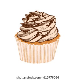 hand drawn cupcake on white background