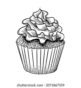 Hand drawn cupcake sketch. Sweet muffin isolated on white background. Vector illustration.