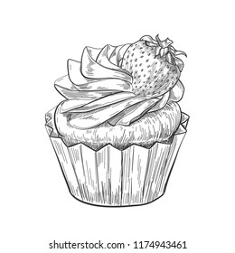 Hand drawn cupcake with strawberry, vintage etching, food sketch engraving, pen and ink line art isolated on white background. Vector illustration.