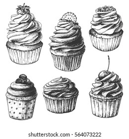 Hand drawn cupcakes, set of vintage food sketches, isolated on white background. Vector illustration