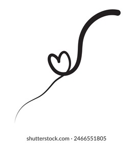Hand drawn of curly swishes. Calligraphy swirl. 11:11