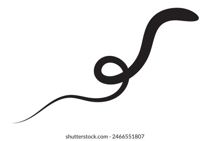 Hand drawn of curly swishes. Calligraphy swirl. 11:11