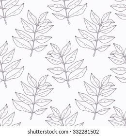 Hand Drawn Curry Leaves And Branch Outline Seamless Pattern. Doodle Drawing Spicy Herbs. Kitchen Background. Hand Drawn Seasoning. Vector Illustration