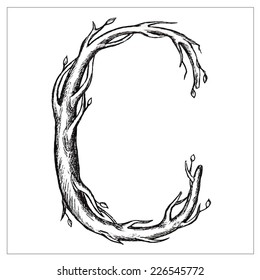 Hand drawn cursive font in the form of tree branches. Vector format isolated on white background. 