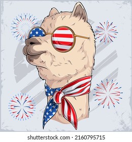 Hand drawn cute Alpaca wearing USA Scarf and sunglasses for 4th of July the us independence day