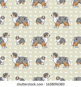 Hand drawn cute australian shepherd breed dog seamless vector pattern. 