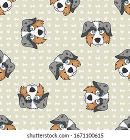 Hand drawn cute australian shepherd breed dog face seamless vector pattern. Purebred pedigree domestic dog paw background. Dog lover Australia hunting pet all over print. Kennel pooch. EPS 10. 