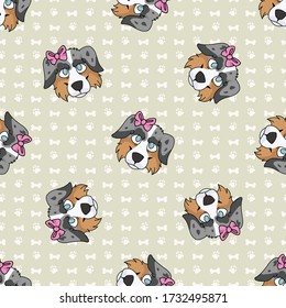 Hand drawn cute australian shepherd dog face with pink bow seamless vector pattern. Purebred pedigree domestic dog on paw background. Dog lover Australia pet all over print. Kennel pooch. EPS 10. 