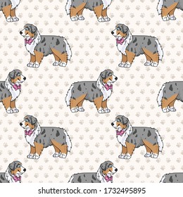 Hand drawn cute australian shepherd dog with pink bow seamless vector pattern. Purebred pedigree domestic dog on paw background. Dog lover Australia pet all over print. Kennel pooch. EPS 10. 