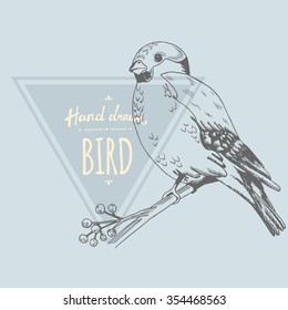Hand drawn cute bird