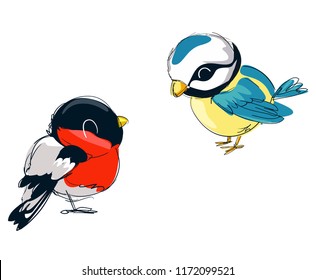 Hand Drawn Cute Birds Vector Illustration. Bullfinch, Titmouse  