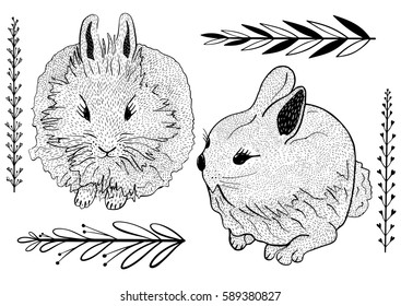 Hand drawn cute bunnies set. Hatching doodle style. Vector illustration isolated on a white background.