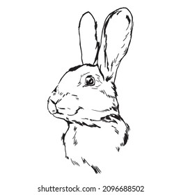 Hand Drawn Cute Bunny isolated on white background. Bunny ears, Leopard, buffalo plaid, polka dots, carrot pattern. Vector clipart. Easter design elements.