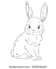 Hand Drawn Cute Bunny vector, design rabbit, kids print 