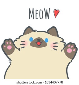 Hand drawn cute cartoon cat with lettering " Meow ". Isolated on white background. Character design. Vector illustration, Cartoon doodle style.
