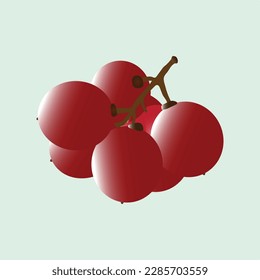 Hand Drawn Cute Cartoon Fruit Grapes with green leaf Clipart vector illustrations