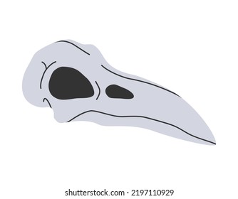 Hand Drawn Cute Cartoon Illustration Of Magic Crow Skull. Flat Vector Esoteric Element Sticker In Simple Colored Doodle Style. Raven Scall Icon Or Print. Isolated On White Background.