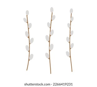 Hand drawn cute cartoon illustration of three willow branches. Flat vector Easter plant set sticker in colored doodle style. Spring botany twig icon or print. Isolated on background.