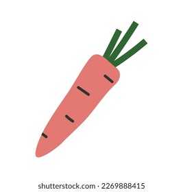 Hand drawn cute cartoon illustration of carrot with haulm. Flat vector garden plant  sticker in colored doodle style. Vegetable, garden icon or print. Isolated on background.