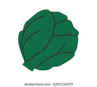 Hand drawn cute cartoon illustration of green cabbage, cauliflower head. Flat vector garden harvest sticker in colored doodle style. Fresh vegetable icon or print. Isolated on white background.