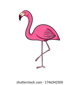 Dibujando mano lindo dibujo de dibujos animados color rosa flamingo permanecer en una pierna, colorido dibujo estilo ilustración vectorial aislado en fondo blanco. Flamingo de dibujo manual lindo símbolo de verano