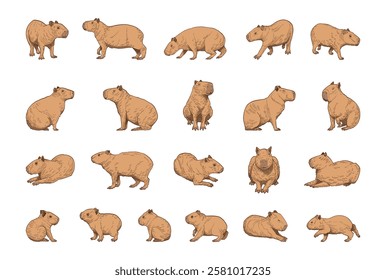 hand drawn cute cartoon vector of capybara illustration isolated on white background.