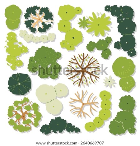 hand drawn cute cartoon vector illustration set of top view tree isolated on white background.