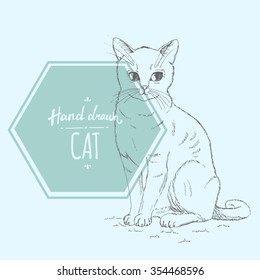 Hand drawn cute cat