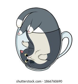 Hand drawn cute cat in cup of tea