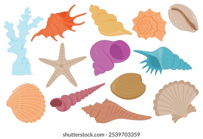 Hand drawn cute colorful Sea shell cartoon set with cartoon style isolated on white background.