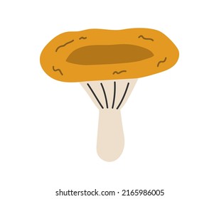 Hand drawn cute contemporary illustration of chanterelle. Flat vector mushroom element in simple colored doodle style. Forest, nature, autumn sticker, icon or print. Isolated on white background.