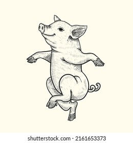 handgezeichnetes süßes Tanzschwein 