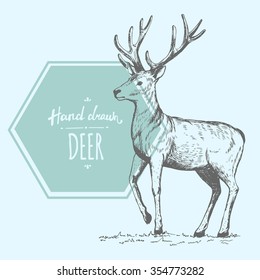 Hand drawn cute deer