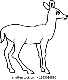 Hand drawn cute Deer Vector