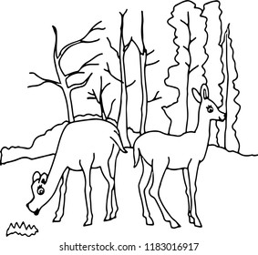 Hand drawn cute Deer Vector