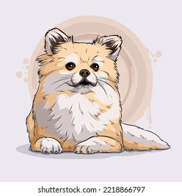 Hand drawn cute dog breed Pomeranian lying down and looking away isolated on white background