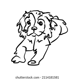 Hand drawn cute dog, vector illustration. Tibetan spaniel. Little dog