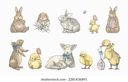 Hand Drawn Cute Easter AnimalsVector Illustrations Set. Little Rabbits, Ducks Chicken and Lamb with Ribbons and Easter Eggs Color Sketches Collection. Spring Holiday Engraving Style Drawings. Isolated