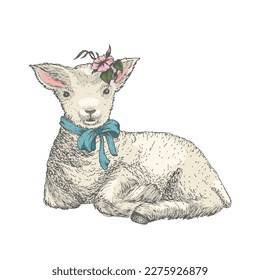 Hand Drawn Cute Easter Greetings Lamb with Flowers Vector Illustration. Little Animal with Bunch of Spring Flowers. Holiday Engraving Style Colorful Drawing. Isolated