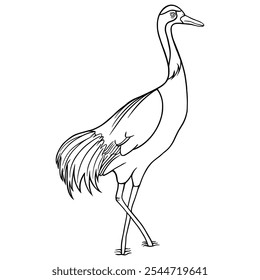Hand drawn cute Flamingo for coloring book